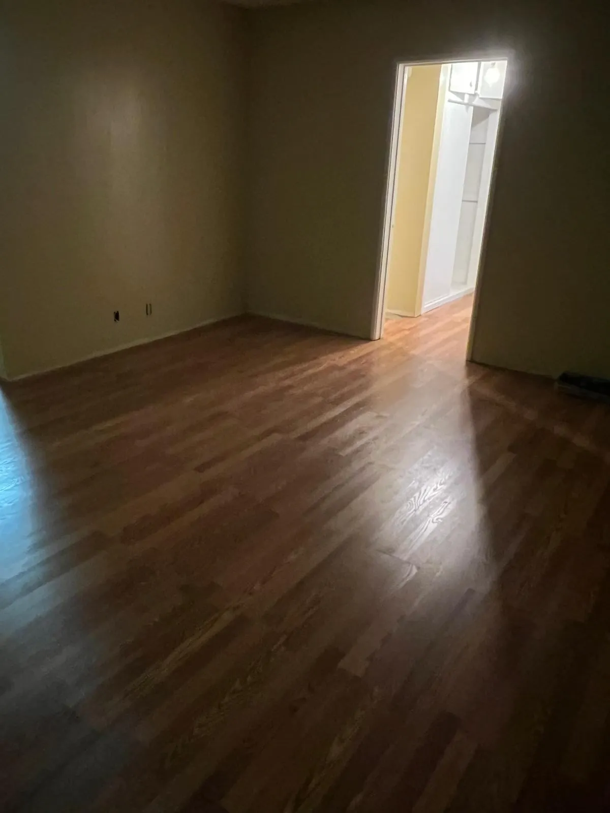 Gallery image 13