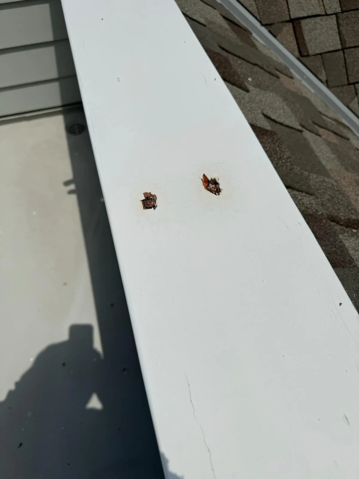Gallery image 36