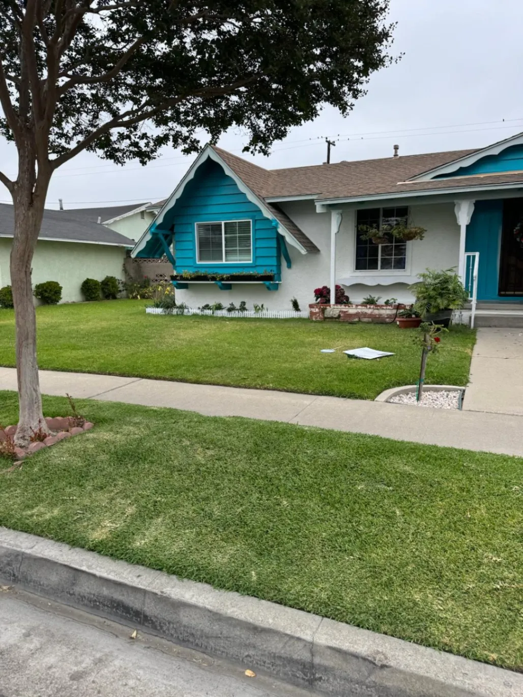 Gallery image 69