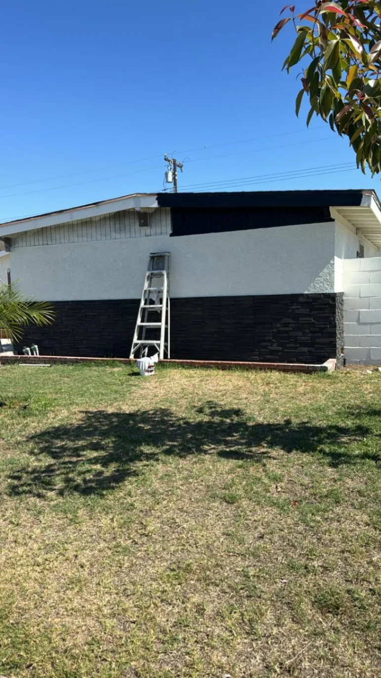 Gallery image 68
