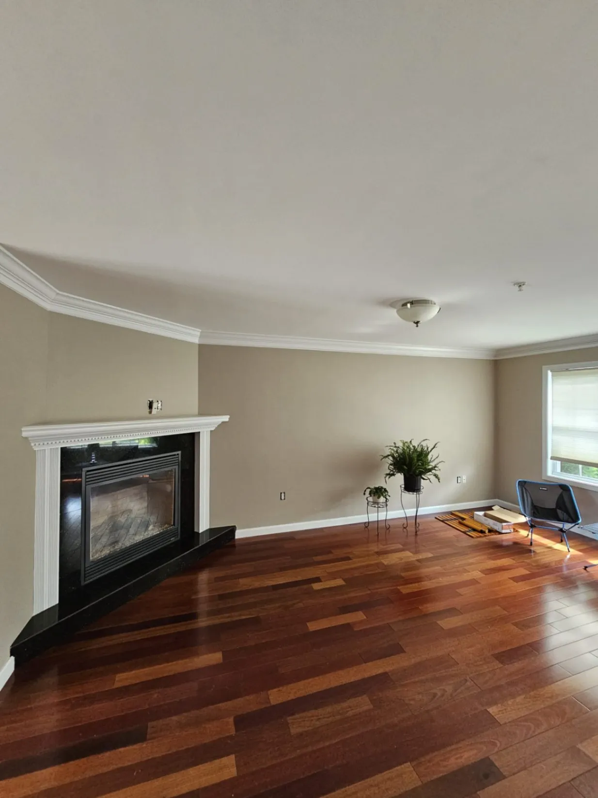 General Carpentry Services