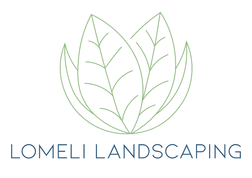 Lomeli Organization