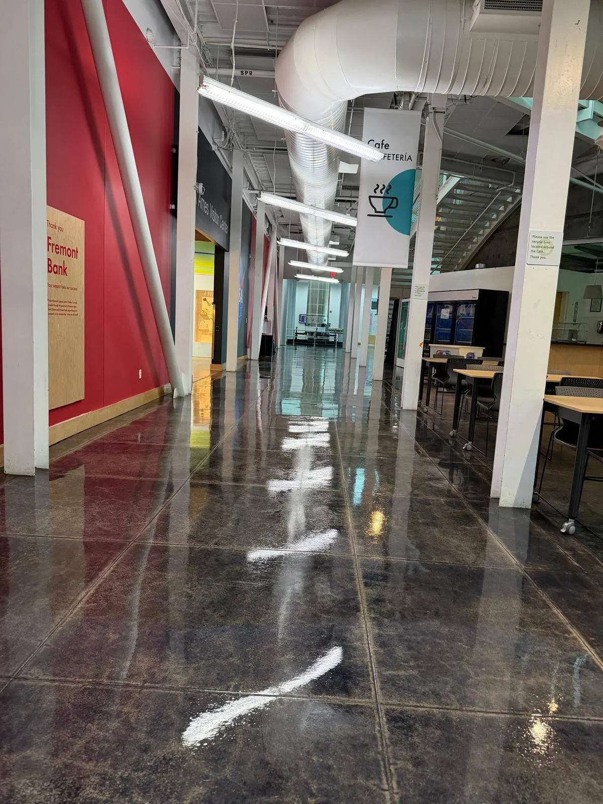 Gallery image 7