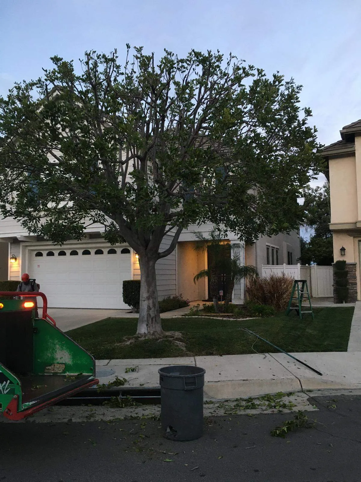 DMR Tree Services Inc