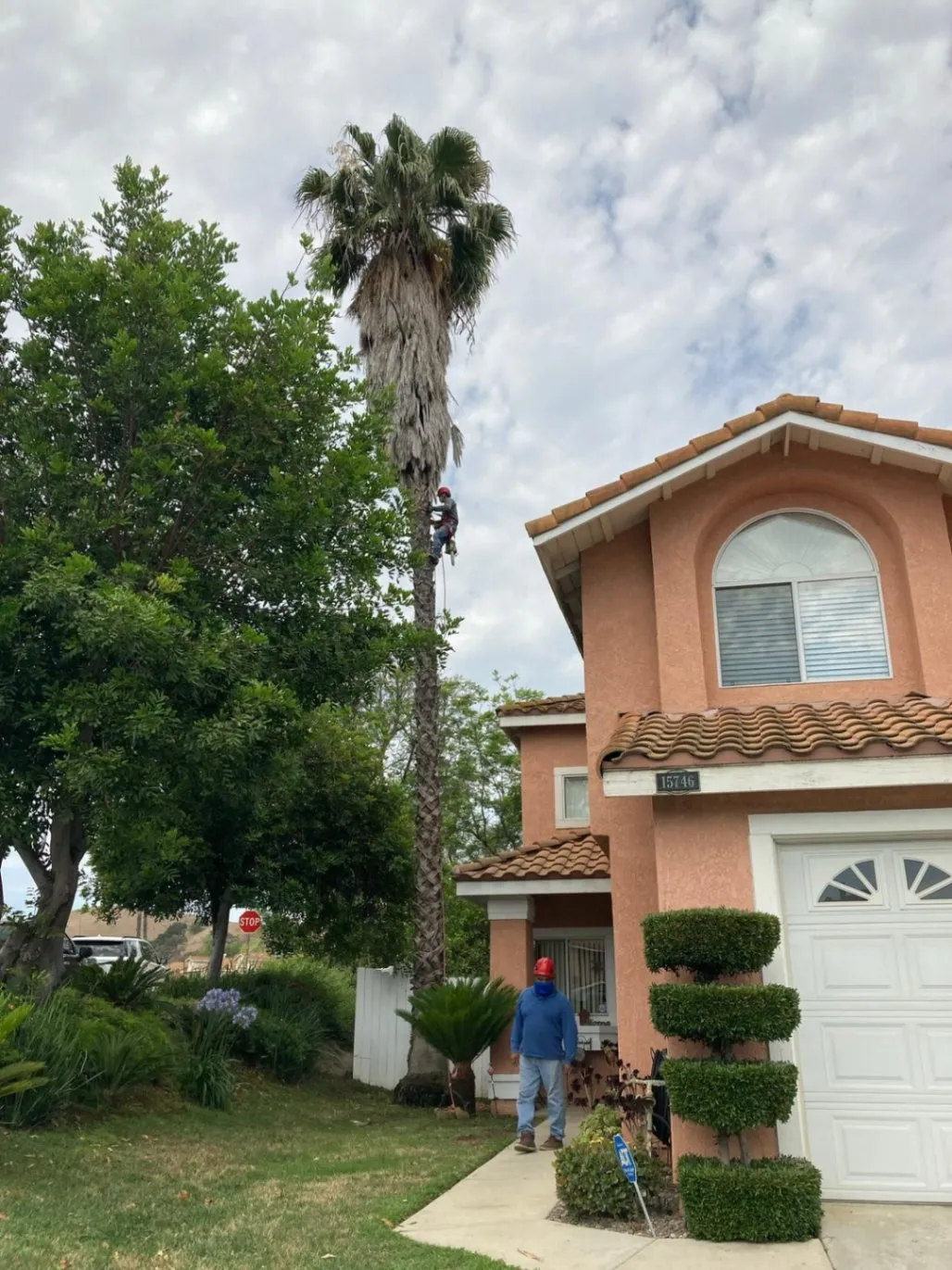 Tree Pruning