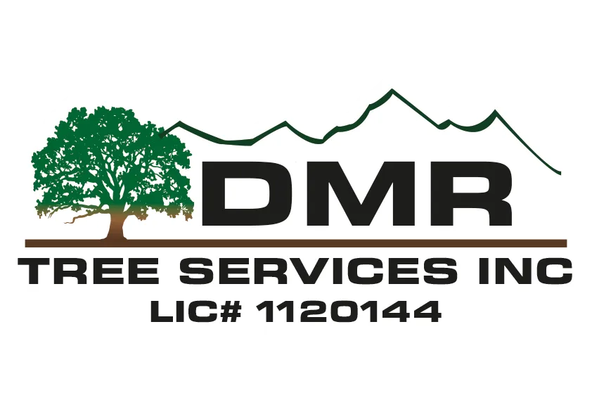 DMR Tree Services Inc