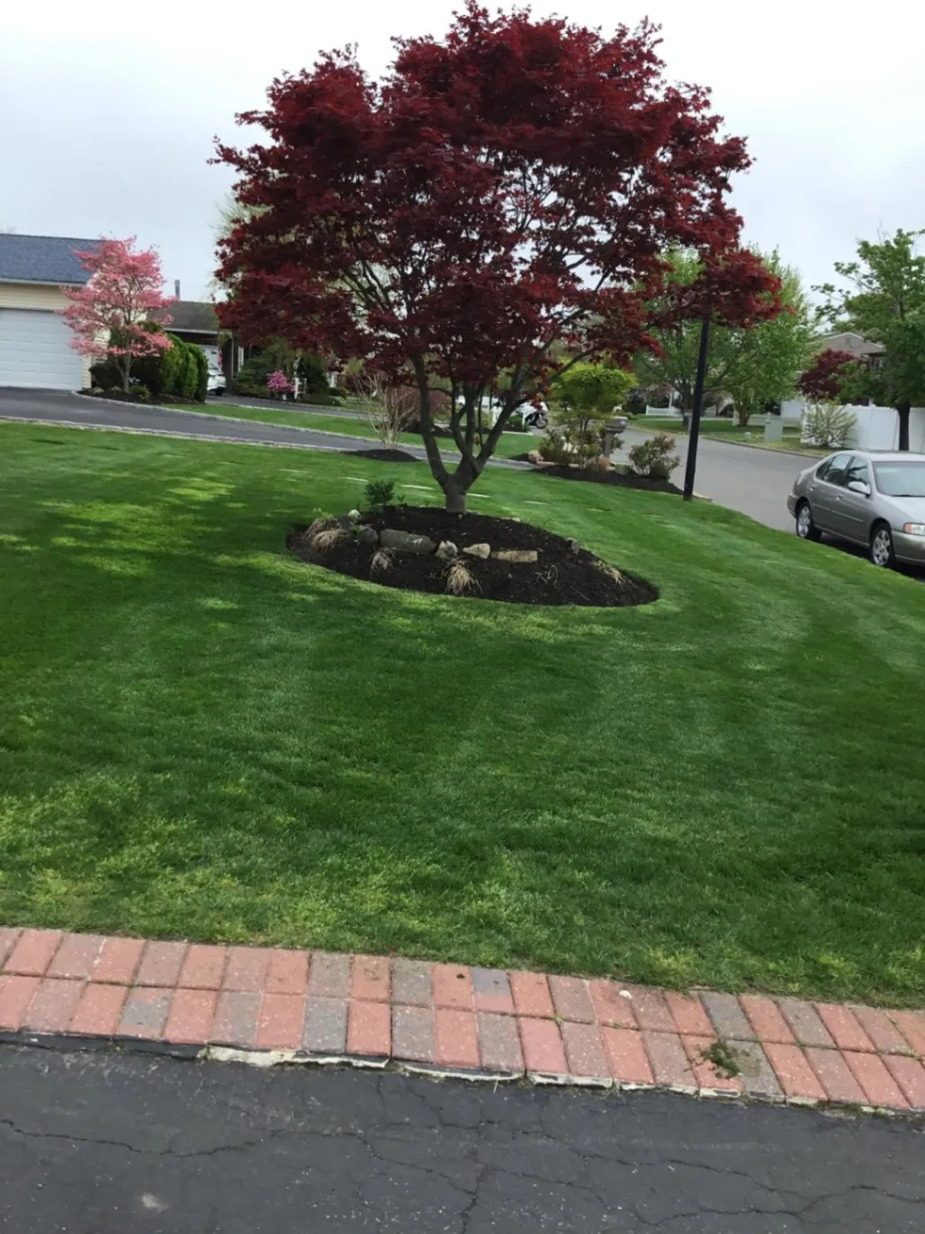 Weekly Lawn Maintenance