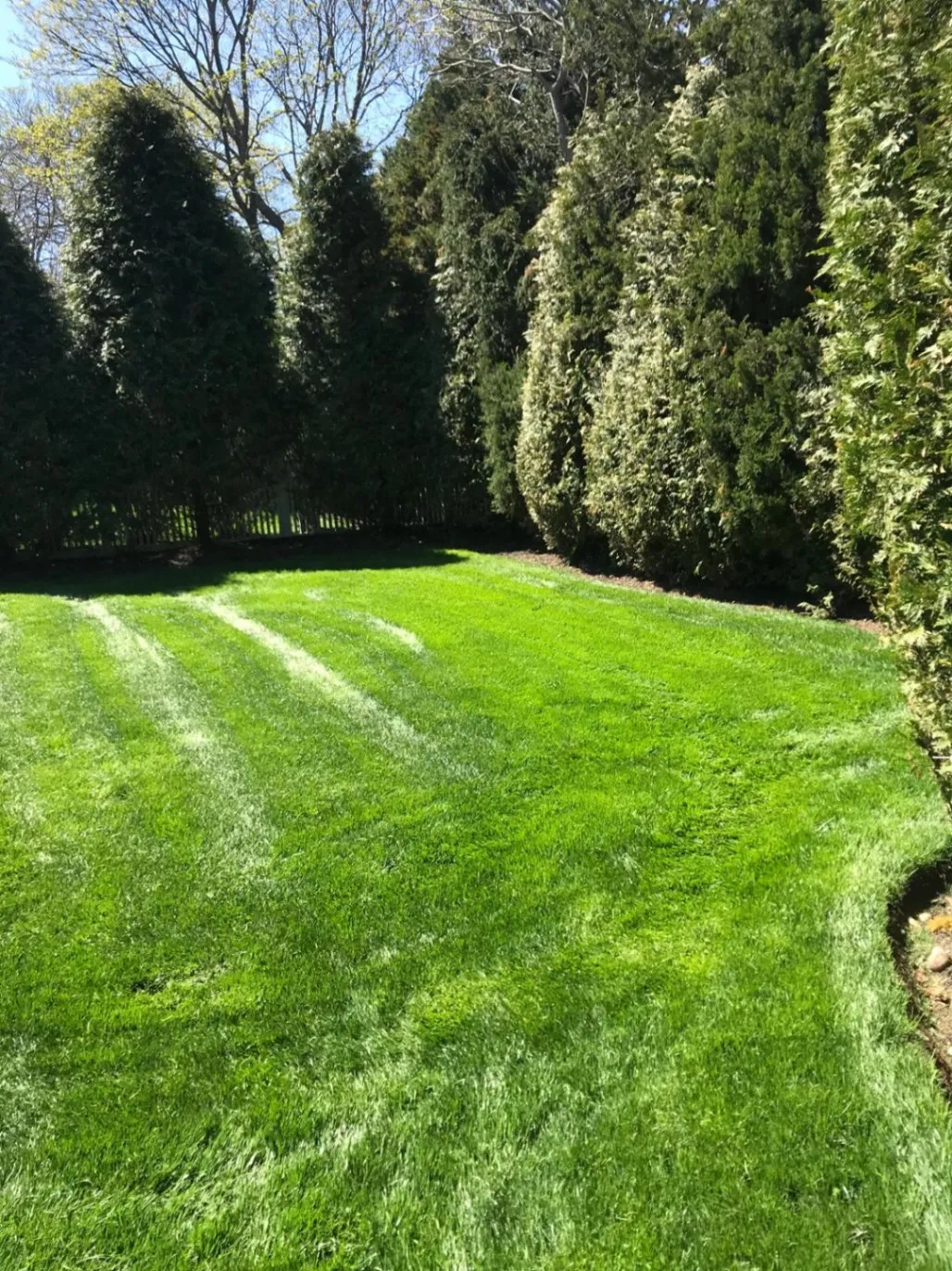 Lawn Renovations