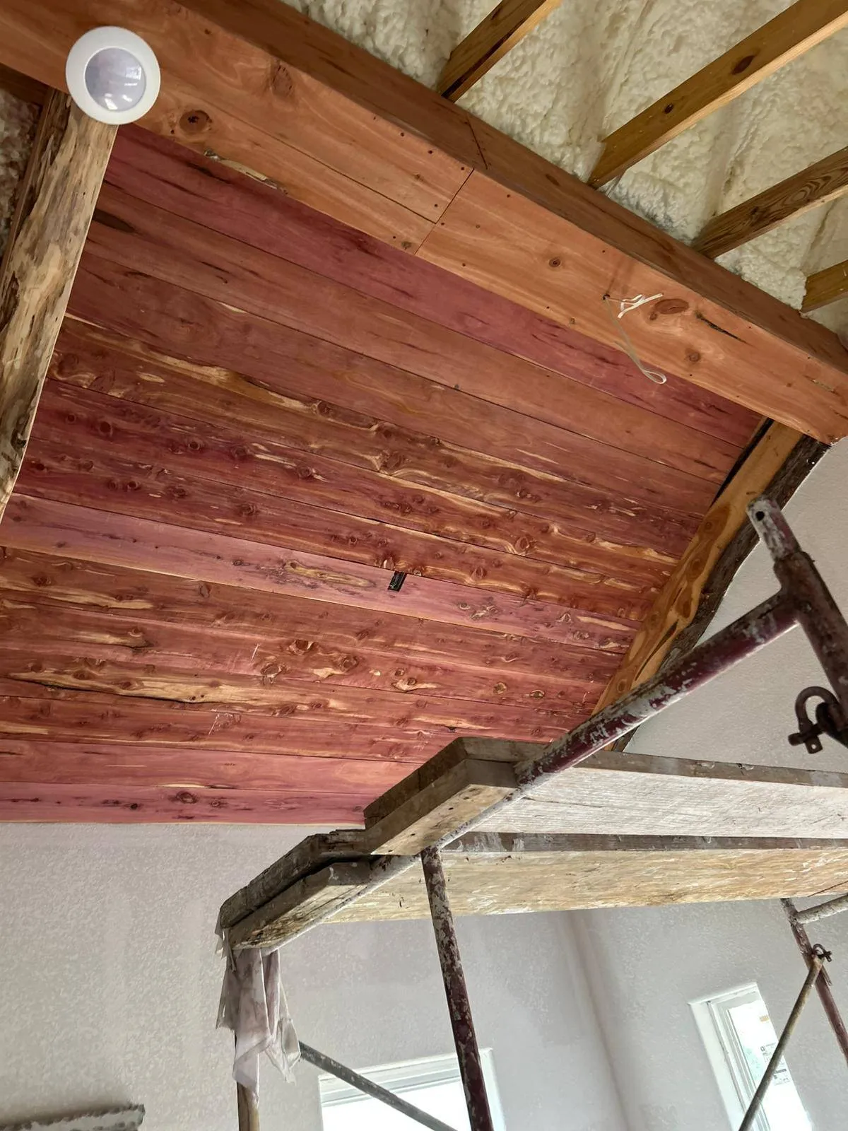Gallery image 12