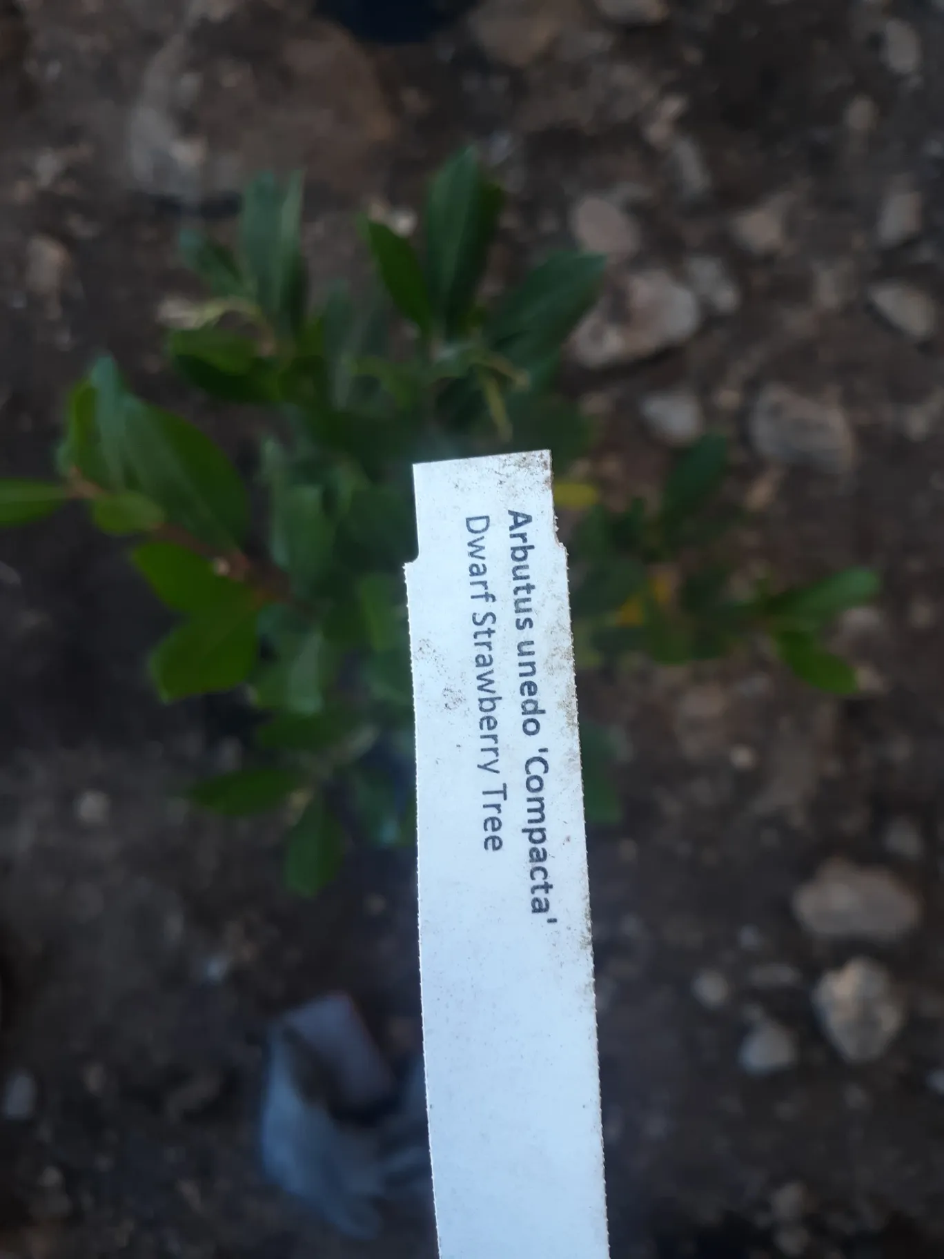 Gallery image 49