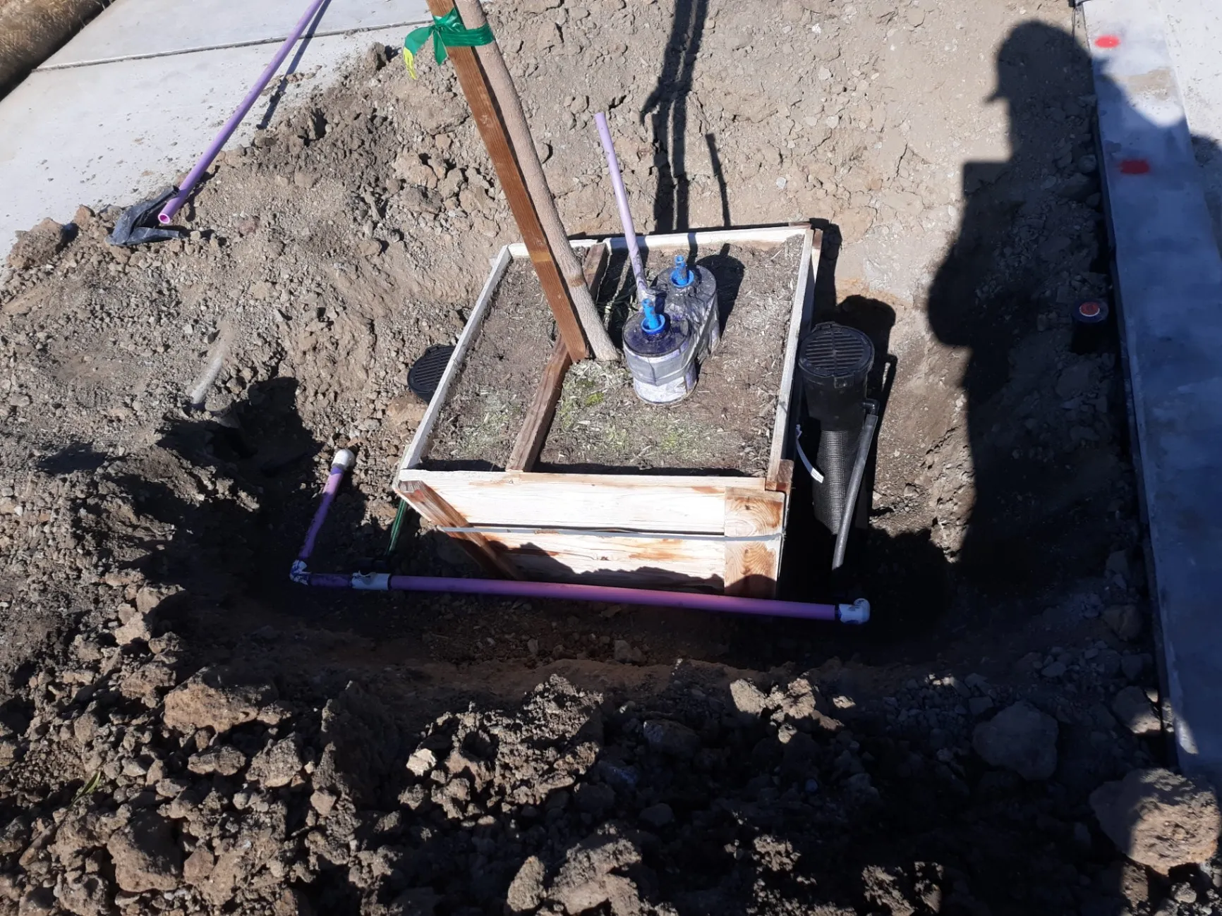 Gallery image 86