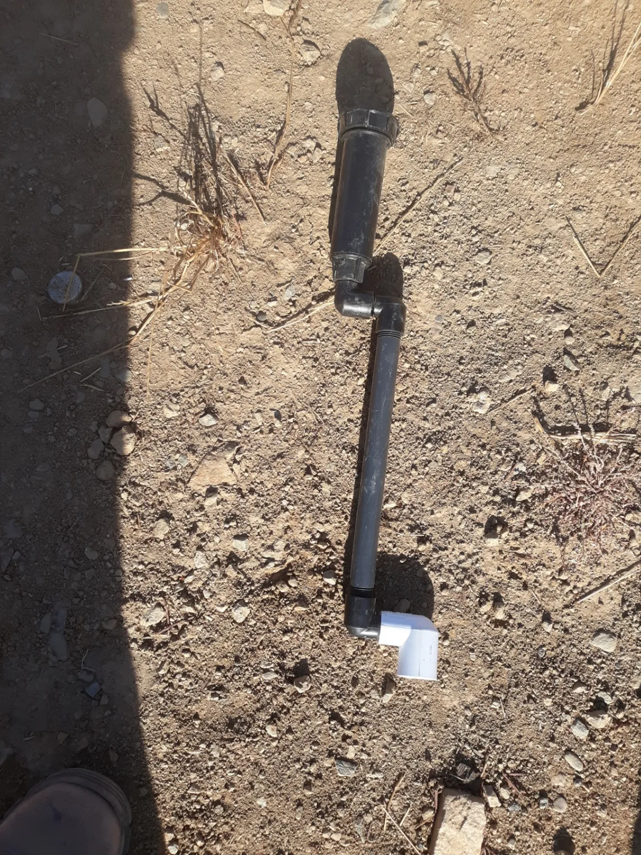 Gallery image 88