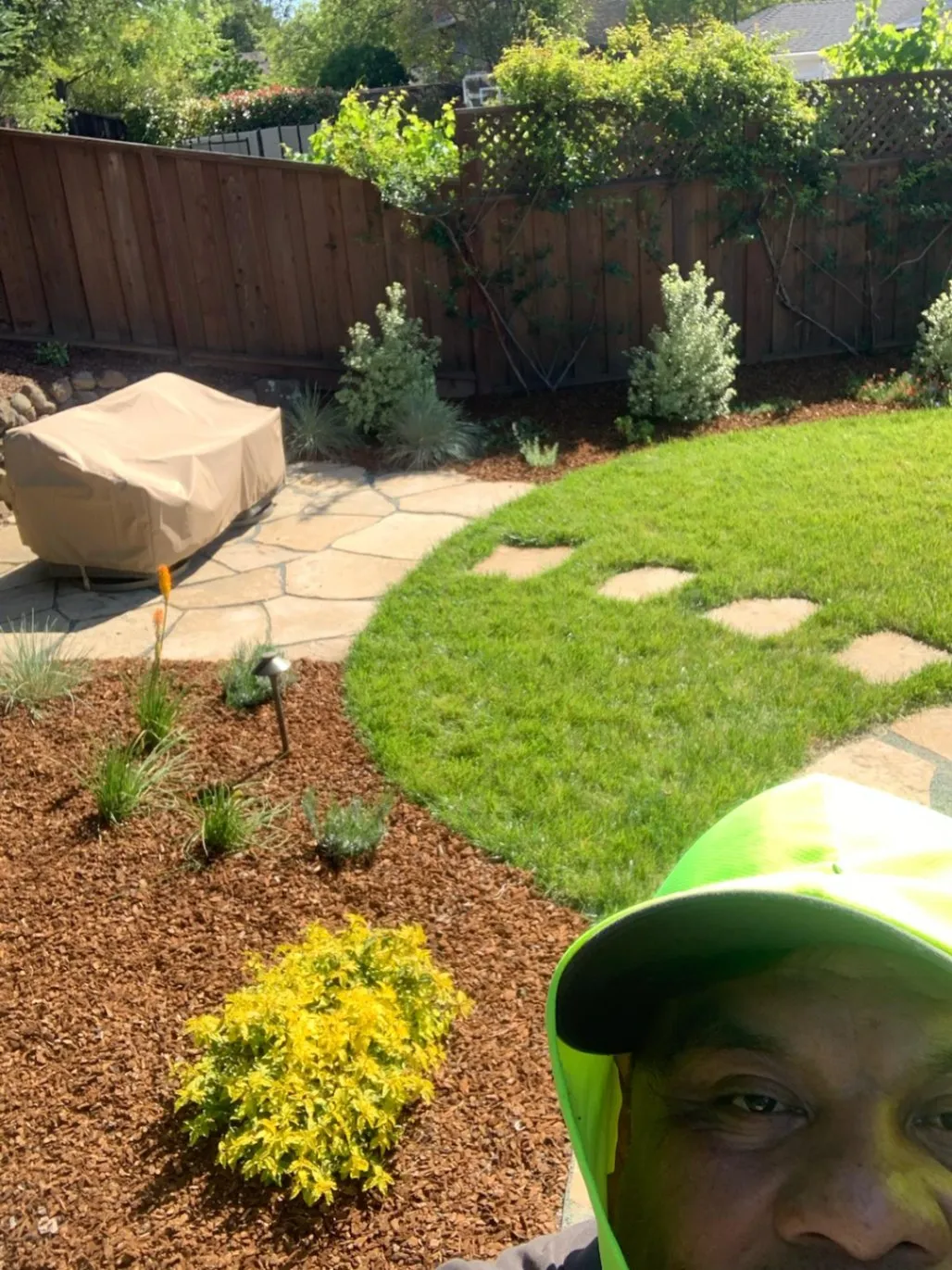 Lawn & Turf Installation