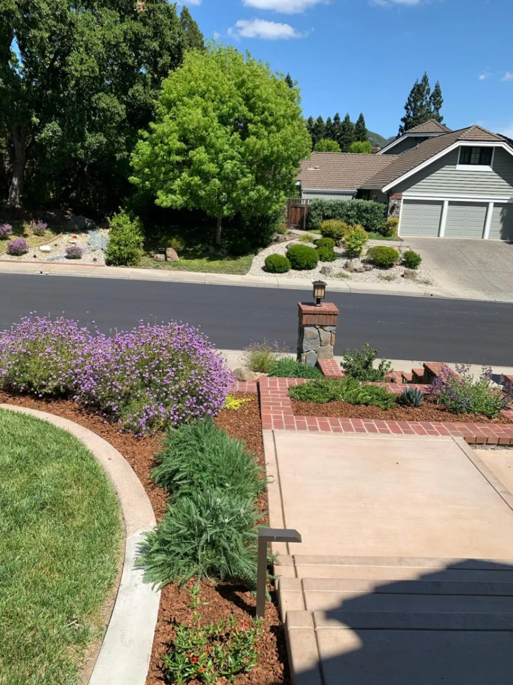 Plant & Shrub Installation