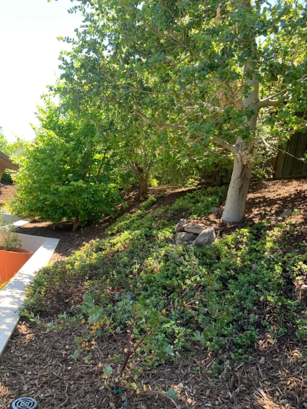 Gallery image 13