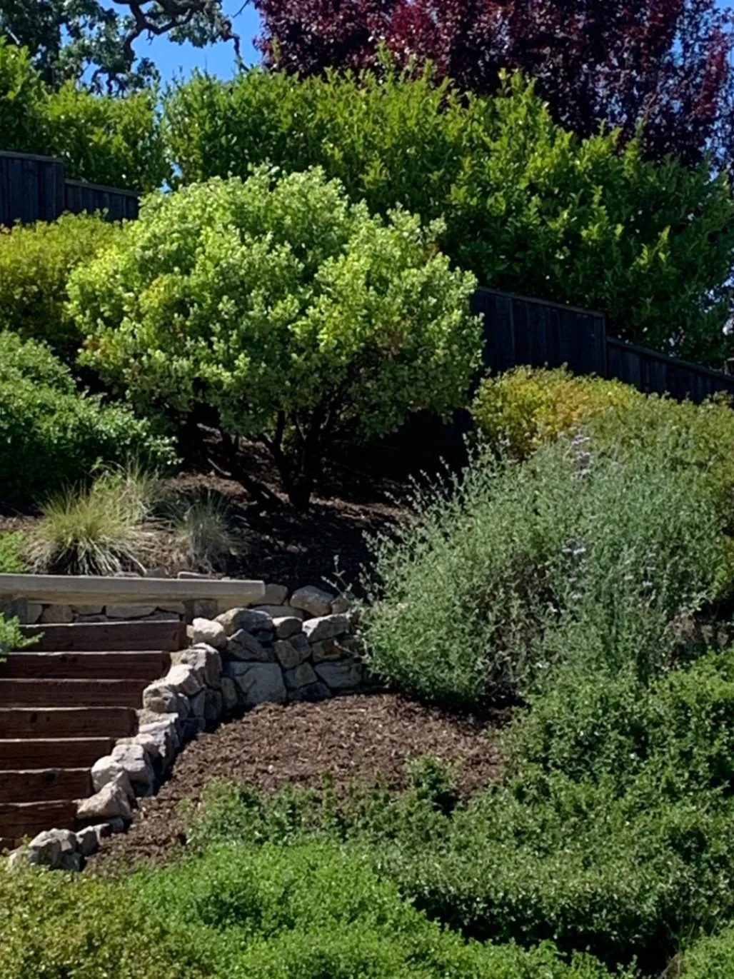 Gallery image 15
