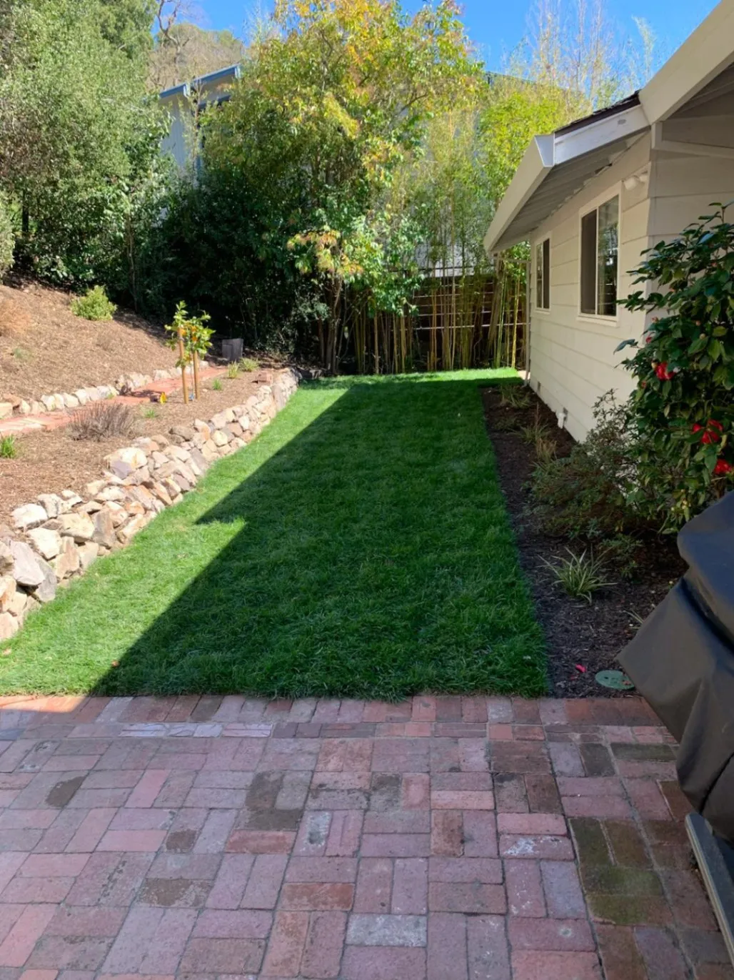 Gallery image 42