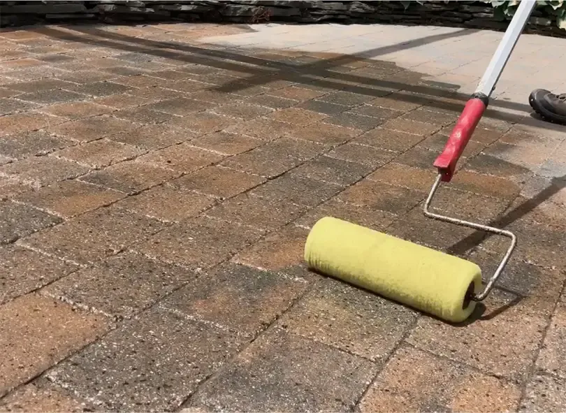 Sealer and First Application