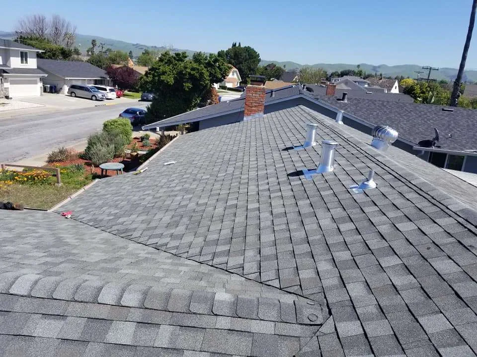 Shingle Roofing