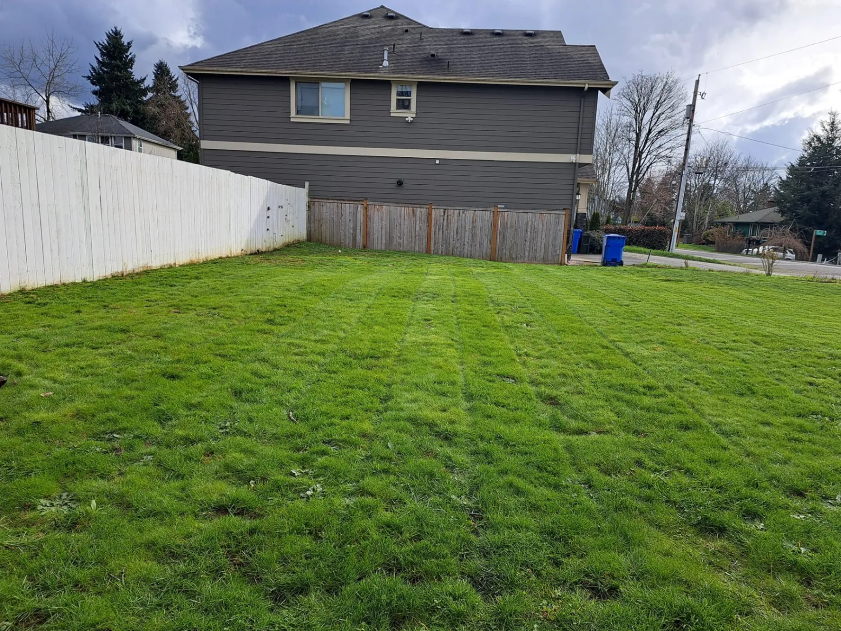 Lawn Edging