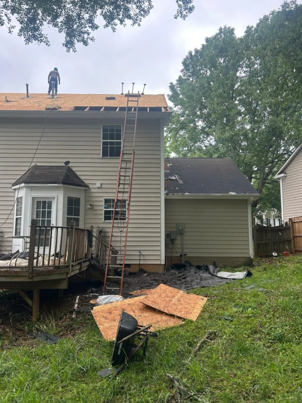 Gallery image 36
