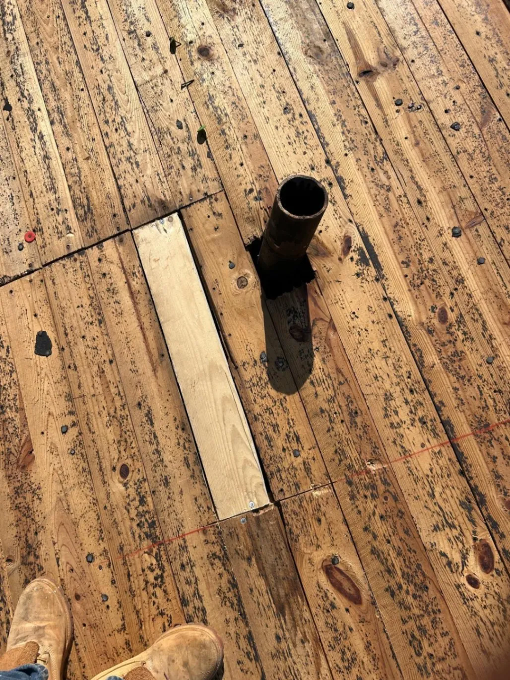Gallery image 70