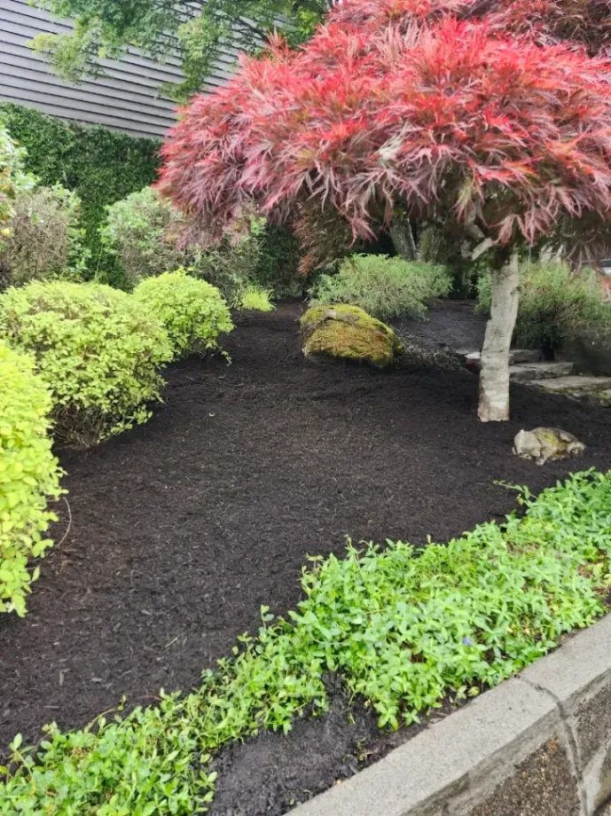 Landscape Services