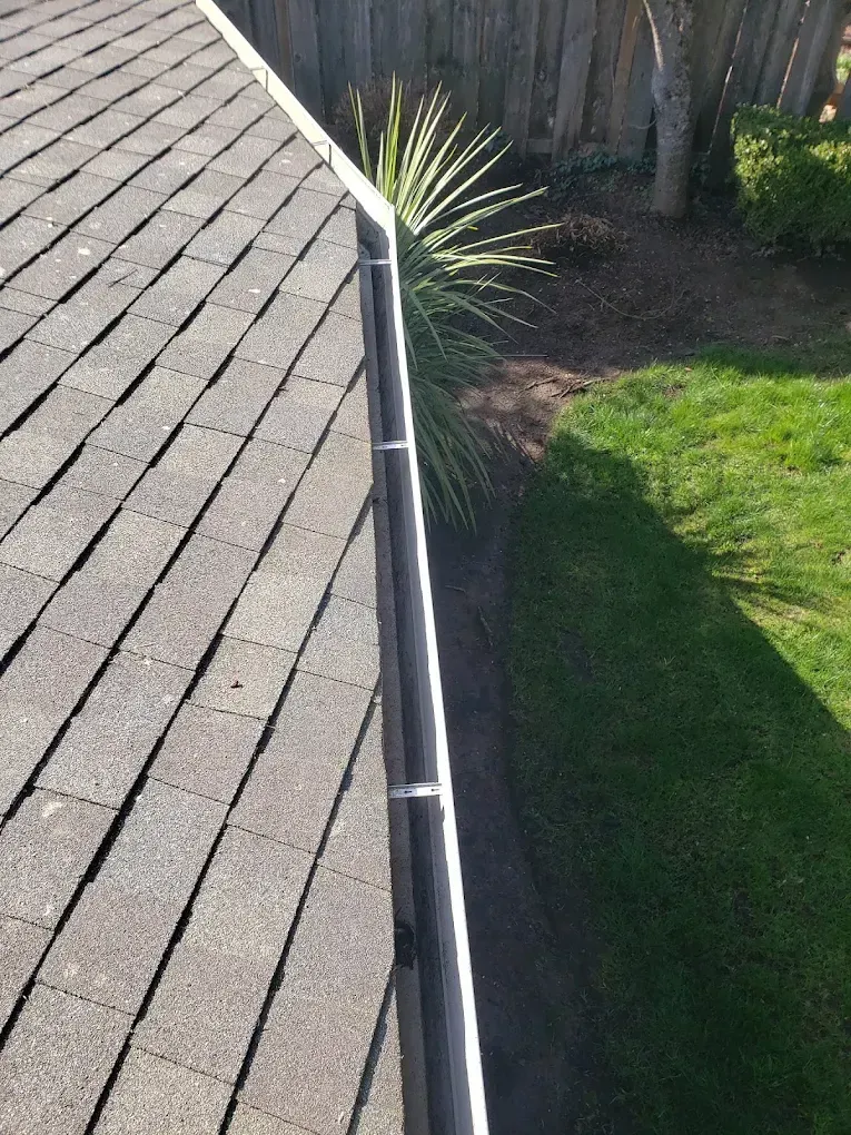 Gutter Cleaning Services