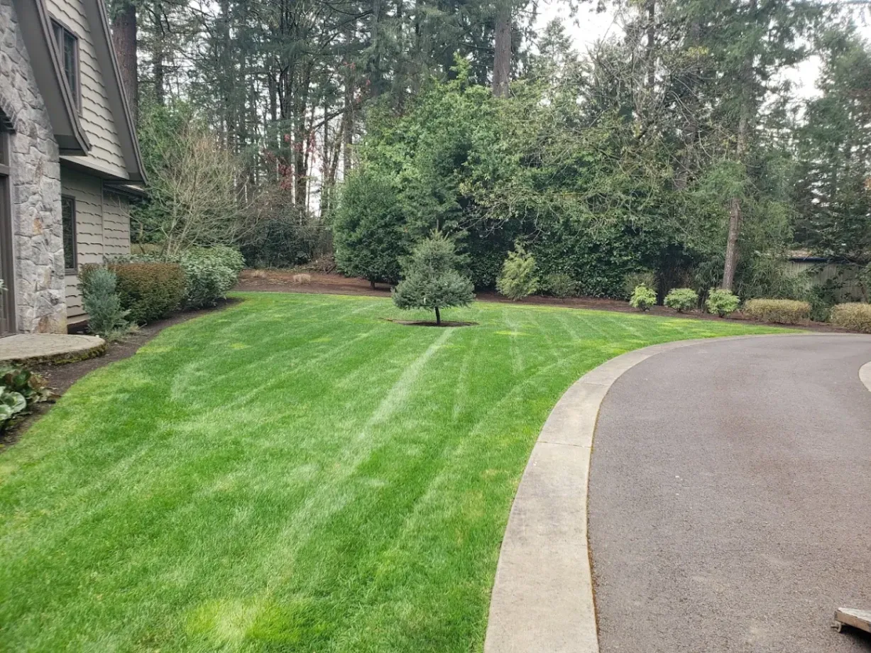 Trusted Lawn and Garden Care - Carta 3