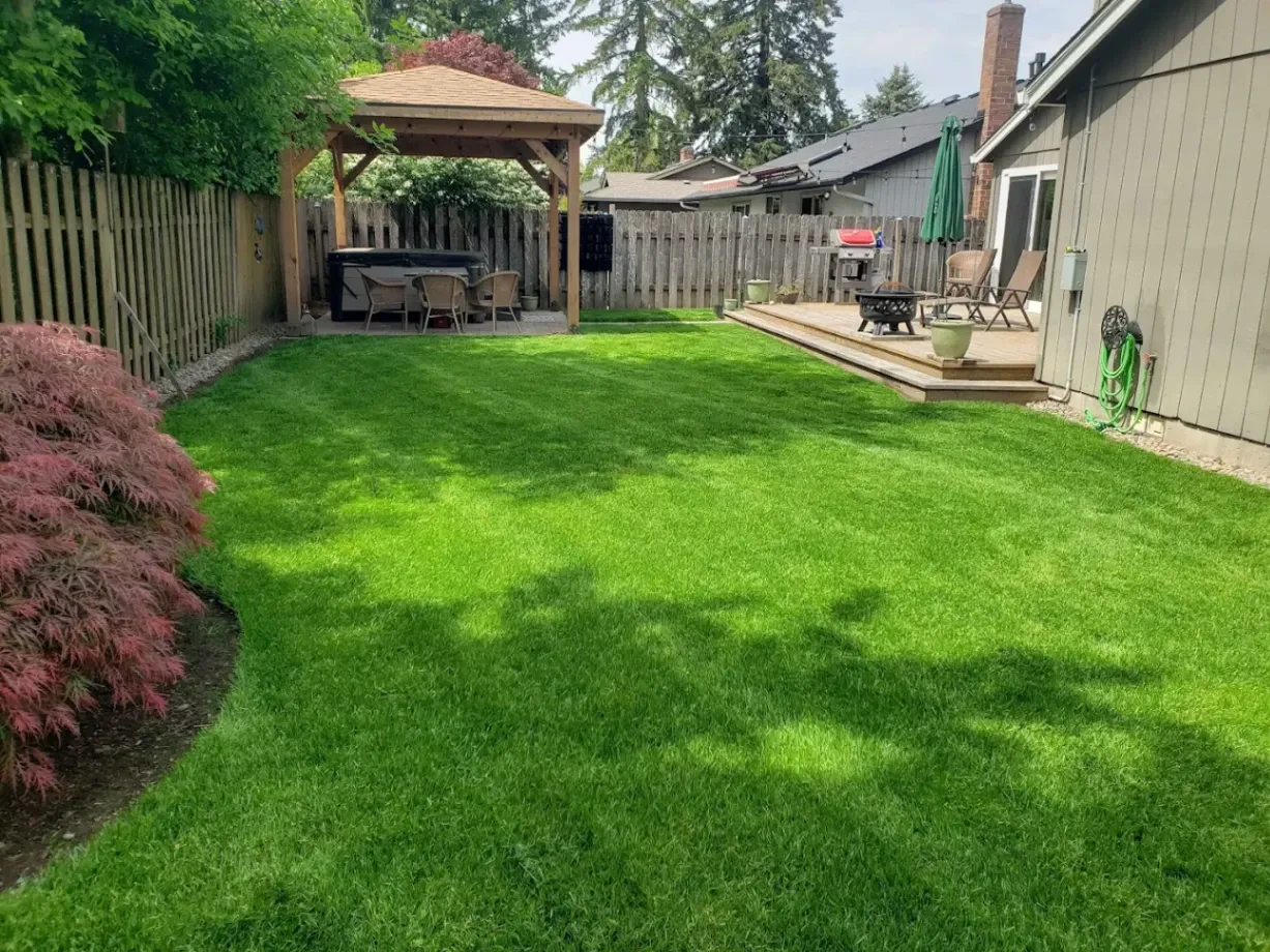 Yard Maintenance Services