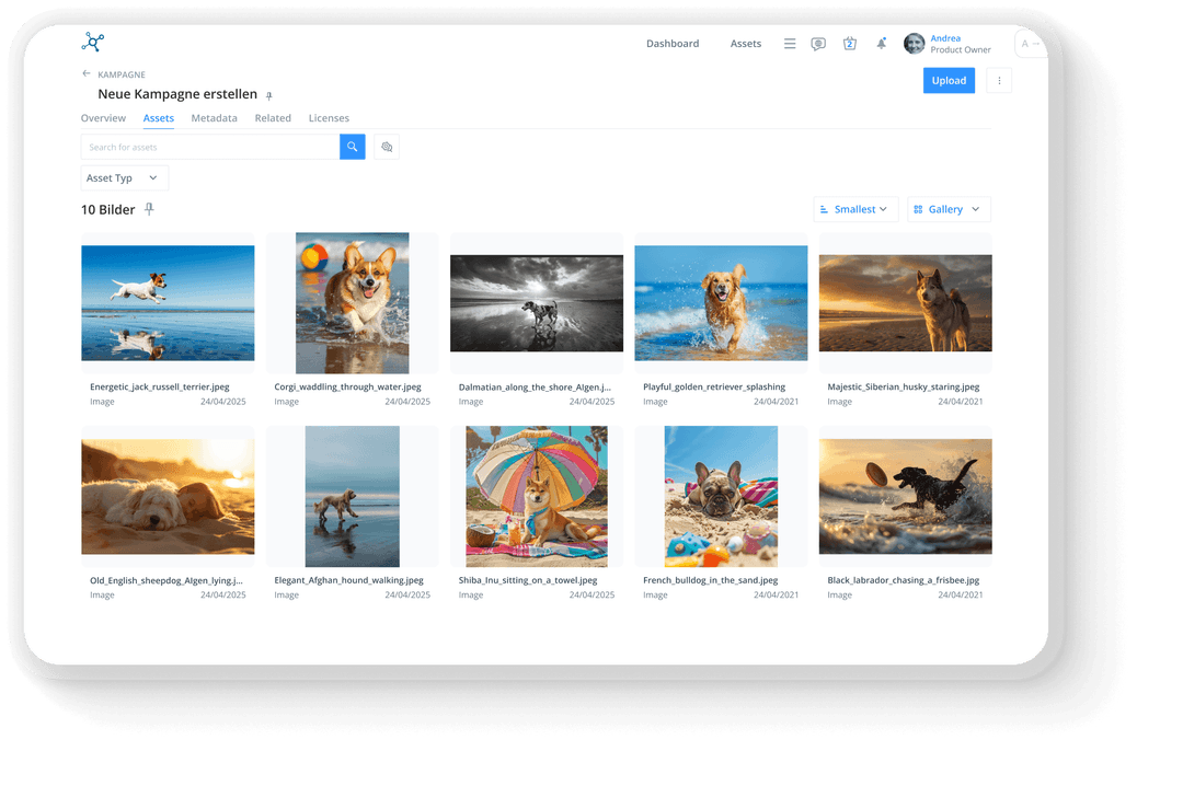Sharedien Screenshot 1