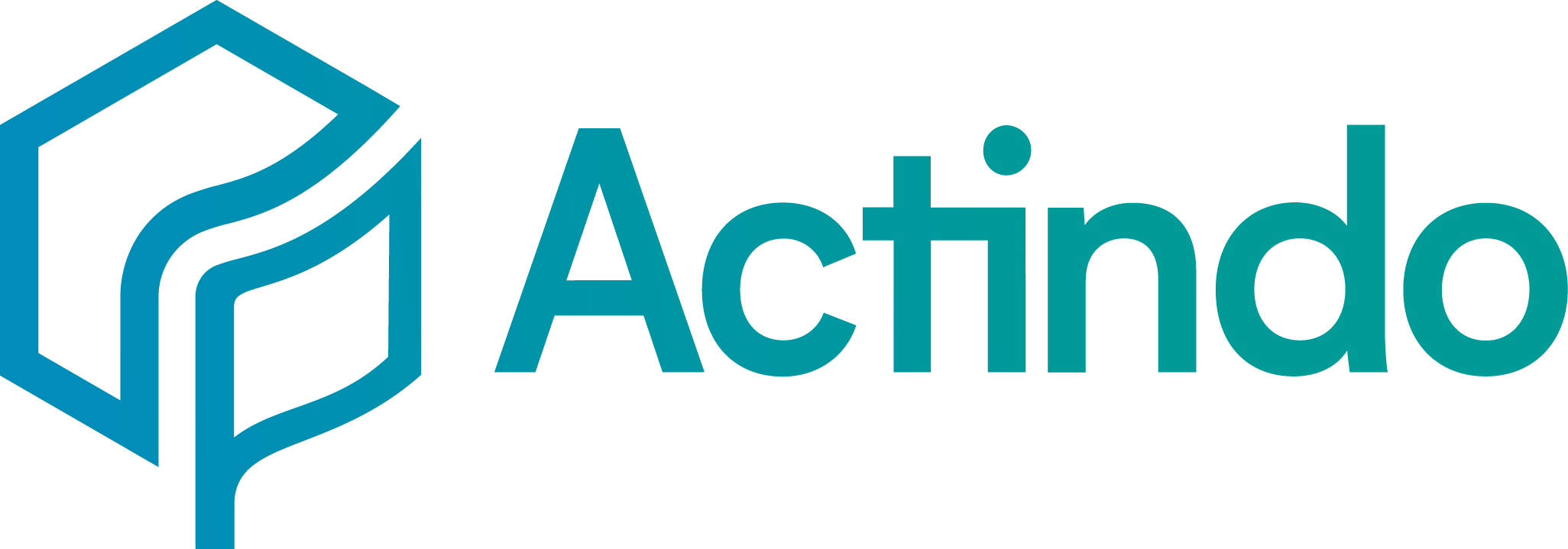 Actindo Core 1
