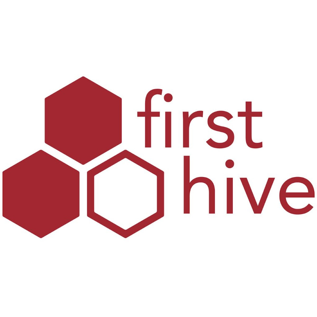 FirstHive Customer Data Platform Logo