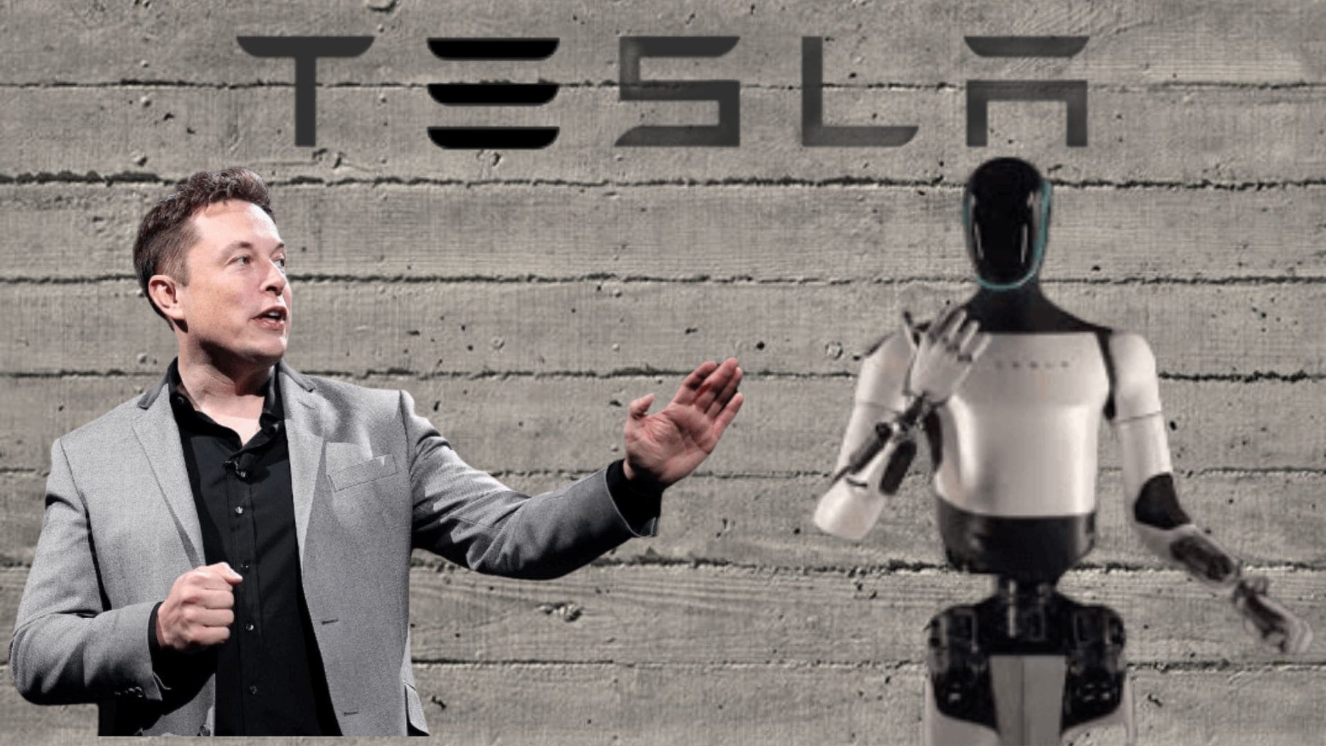 Optimus presentación