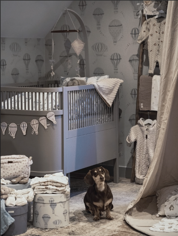 Newbie bebisinredning