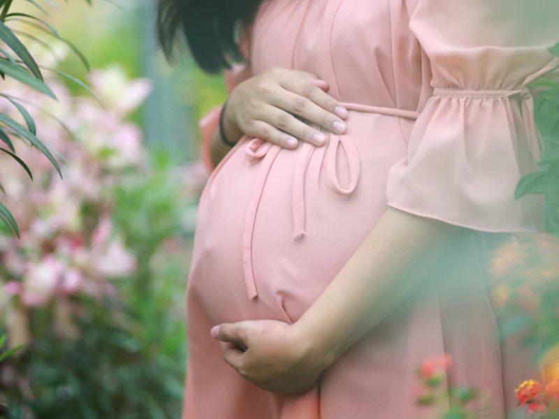 Gentle hand cradling a baby bump with ultrasound photo surrounded by delicate flowers—a visual of growth and promise at 13 weeks of pregnancy.