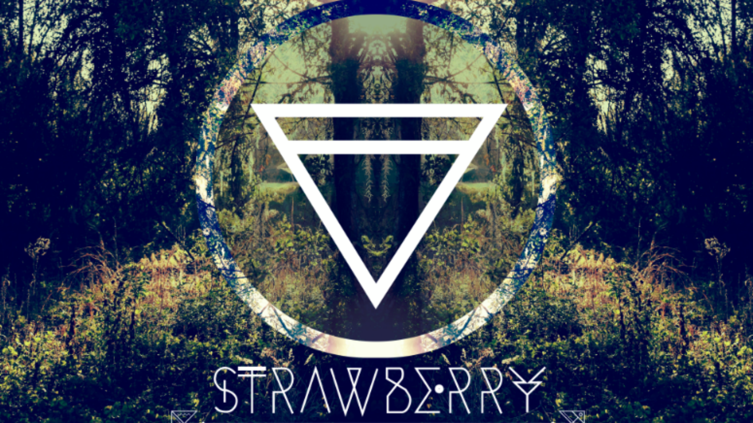 Strawberry Fields 2026 poster - Tocumwal New South Wales, Australia