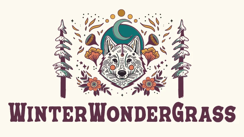 WinterWonderGrass Festival 2026 poster - Steamboat Springs, Colorado, United States