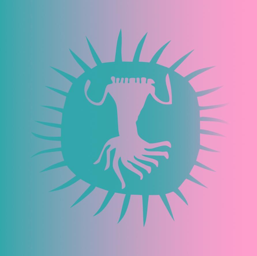 AfrikaBurn 2027 poster