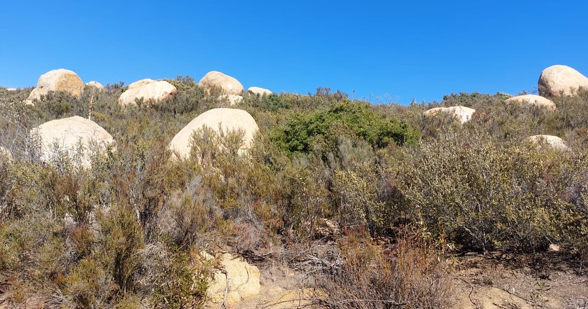 Oportunidad única de inversión