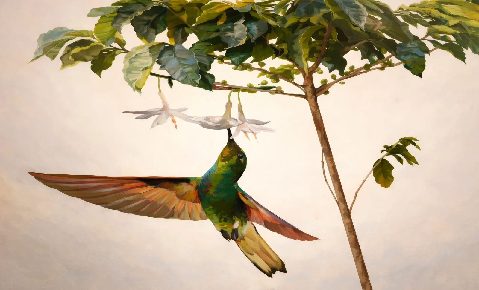 Vuelo en Blanco