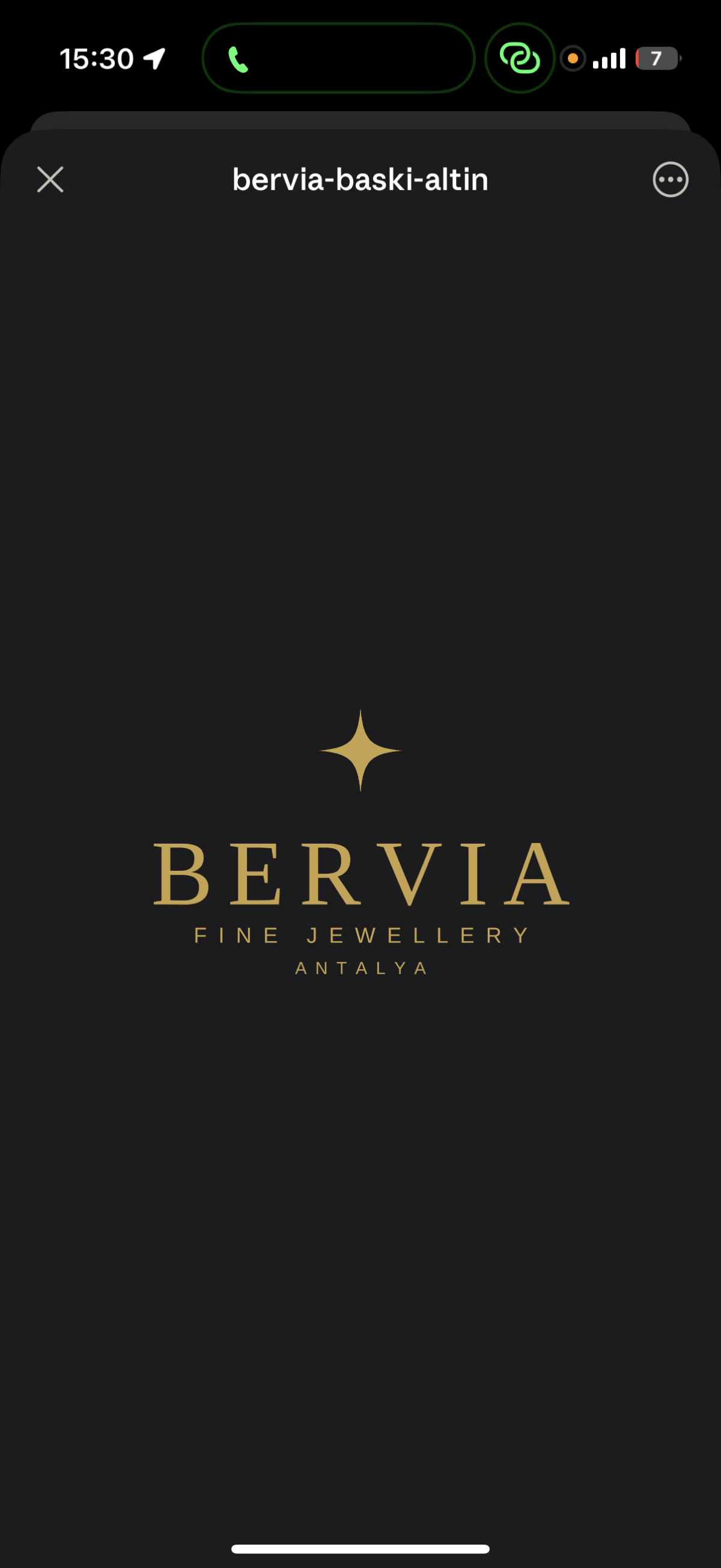 BERVIA logo