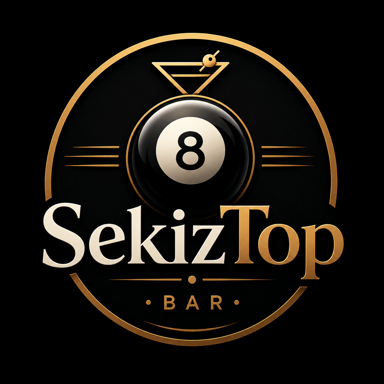 SekizTop logo