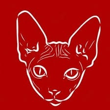 Sfenks Wear & Coffe logo