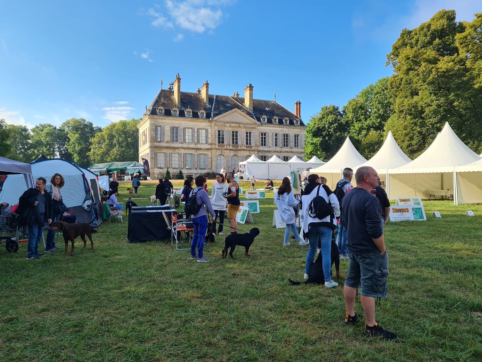 Château de Brognon — photo 2