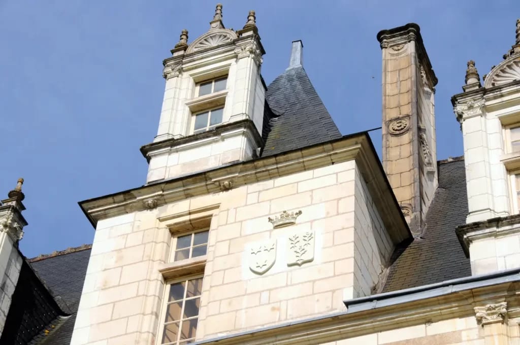 Château de Nitray — photo 4
