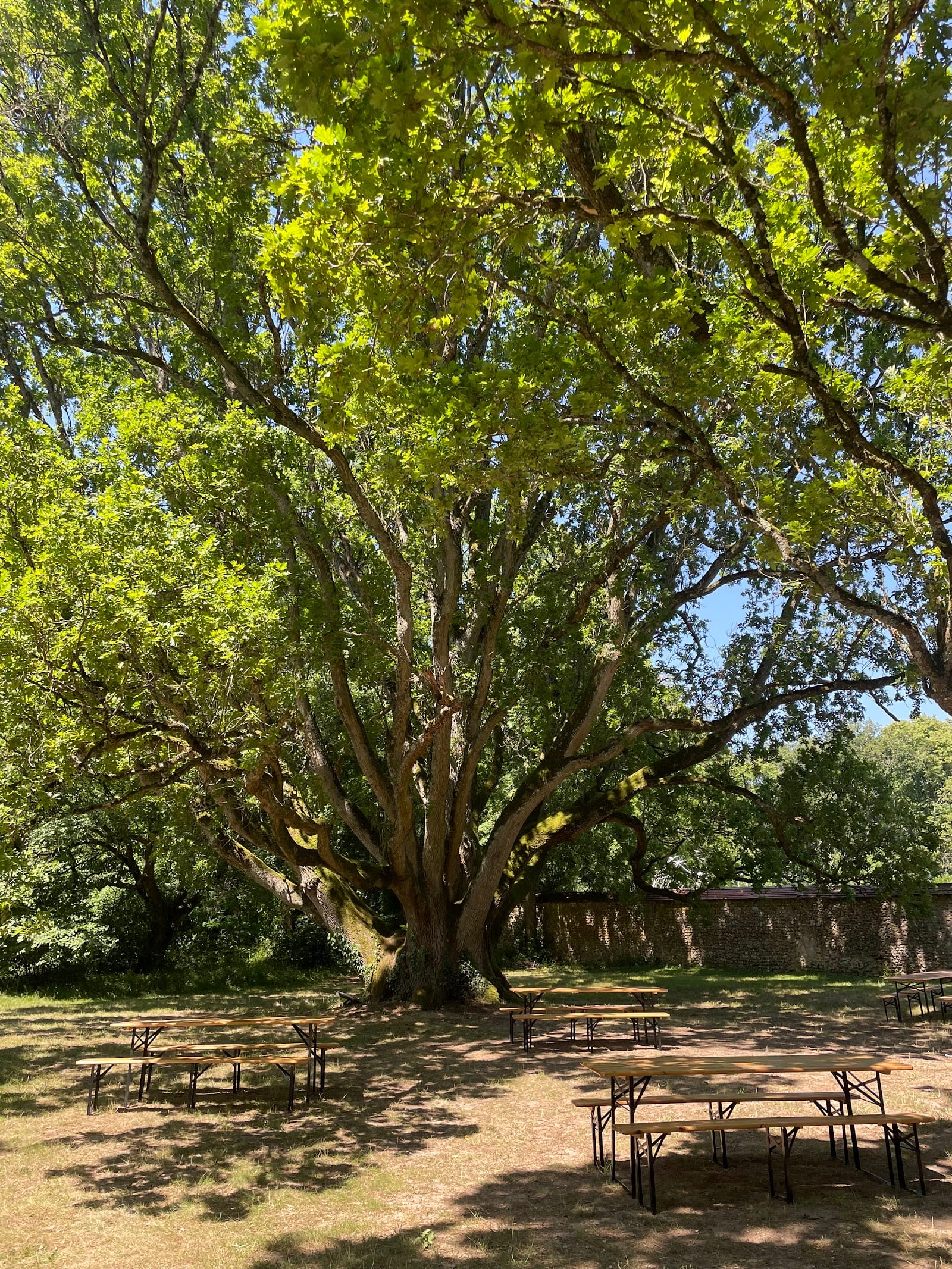 Château du Feÿ — photo 4