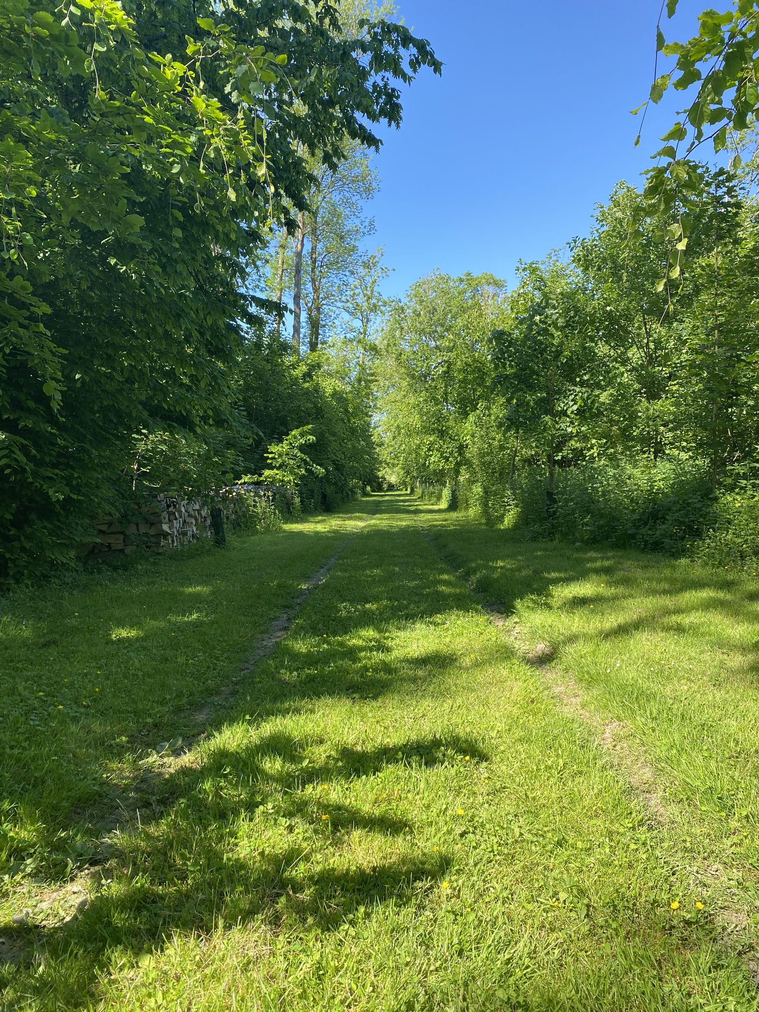 Domaine de Vadancourt — photo 3
