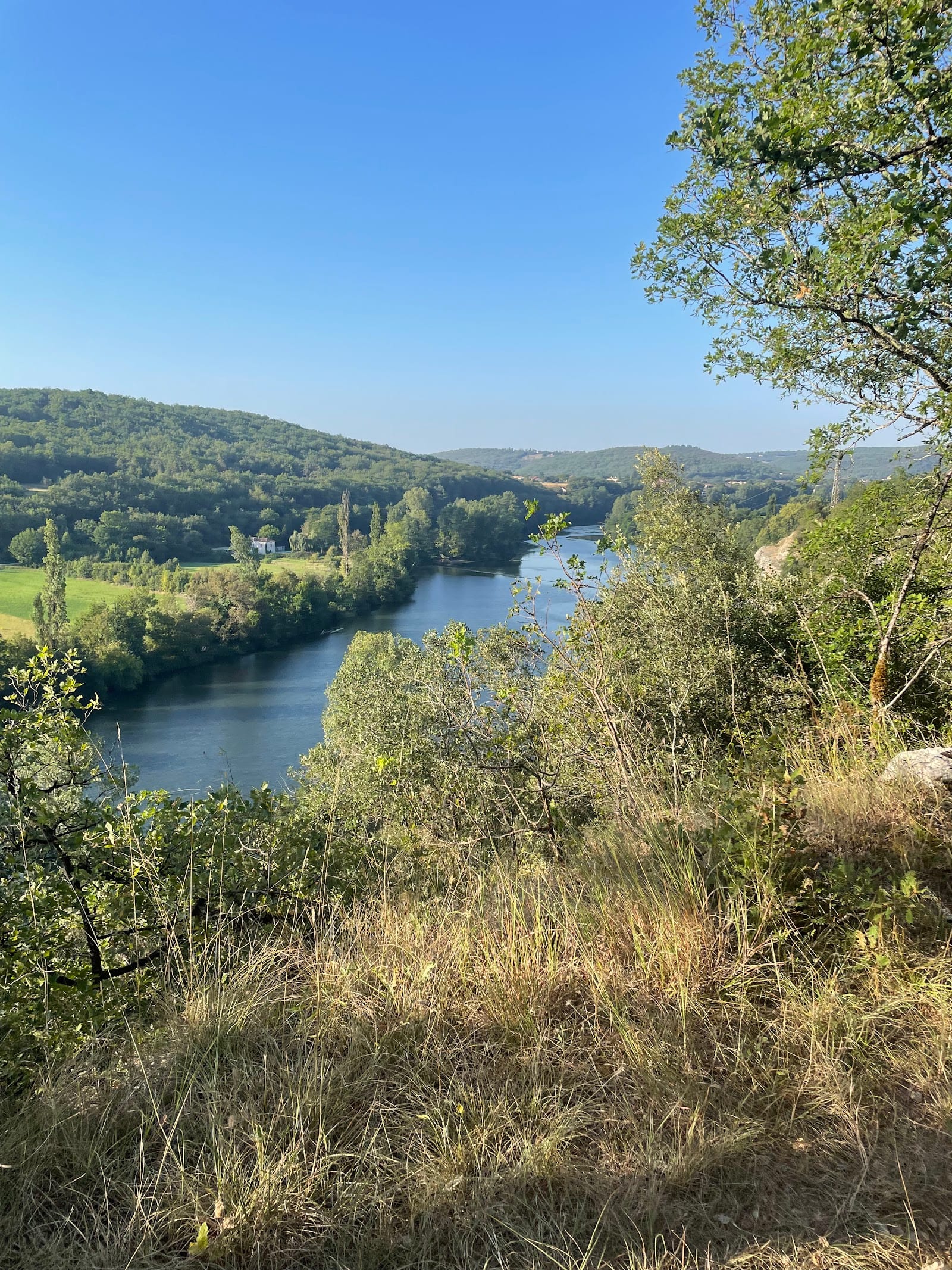 Domaine du Mas de Saboth — photo 4