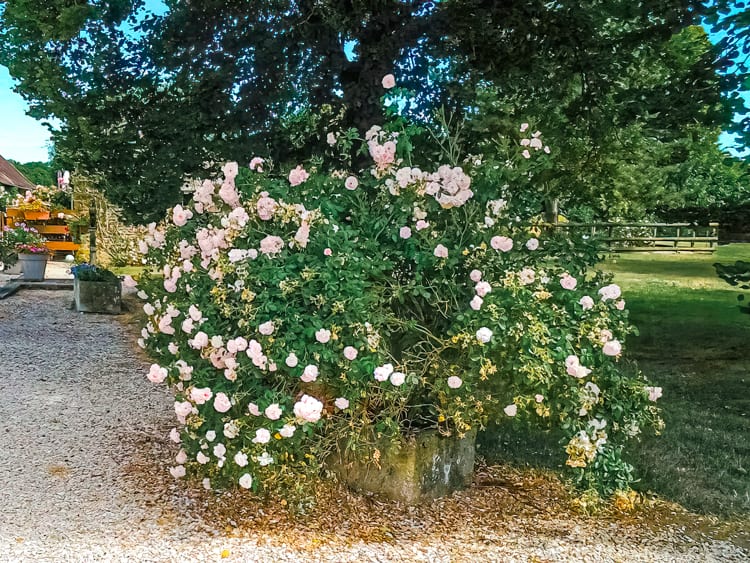 La Ferme du Vieux Château — photo 5